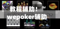 教程辅助！“wepoker辅助器安装包	”开挂(透视)辅助教程-第1张图片