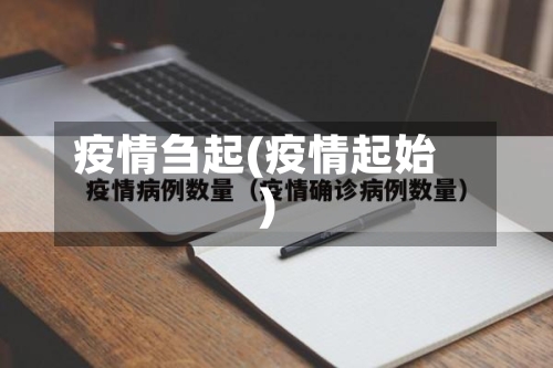 疫情刍起(疫情起始)-第1张图片