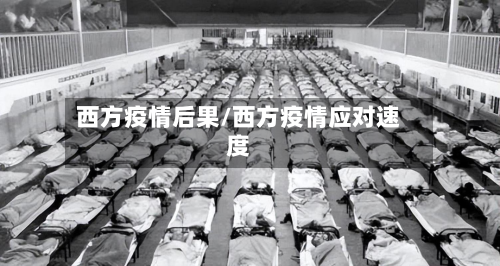 西方疫情后果/西方疫情应对速度-第3张图片