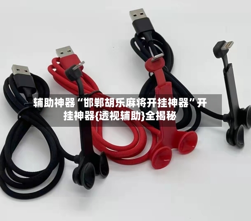 辅助神器“邯郸胡乐麻将开挂神器”开挂神器{透视辅助}全揭秘-第3张图片