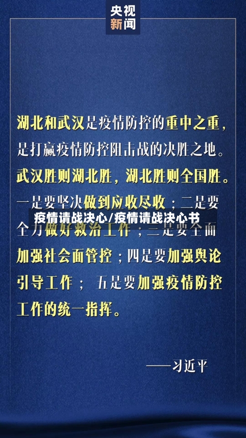 疫情请战决心/疫情请战决心书-第2张图片