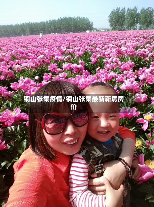 铜山张集疫情/铜山张集最新新房房价-第1张图片