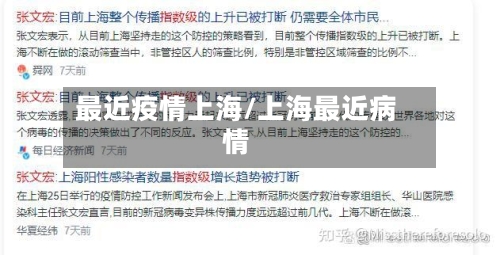 最近疫情上海/上海最近病情-第3张图片