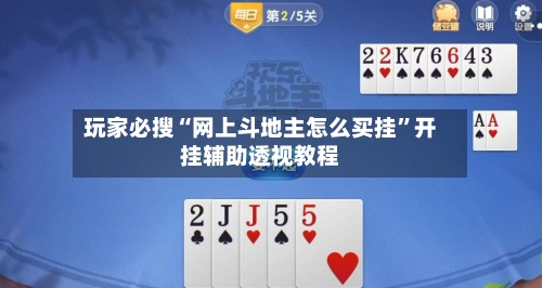 玩家必搜“网上斗地主怎么买挂”开挂辅助透视教程-第2张图片