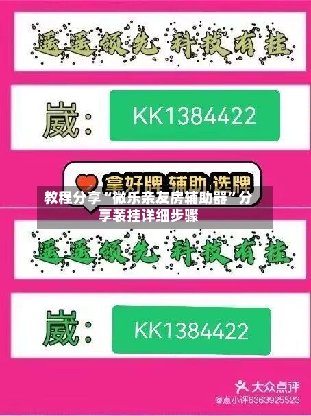 教程分享“微乐亲友房辅助器	”分享装挂详细步骤-第1张图片