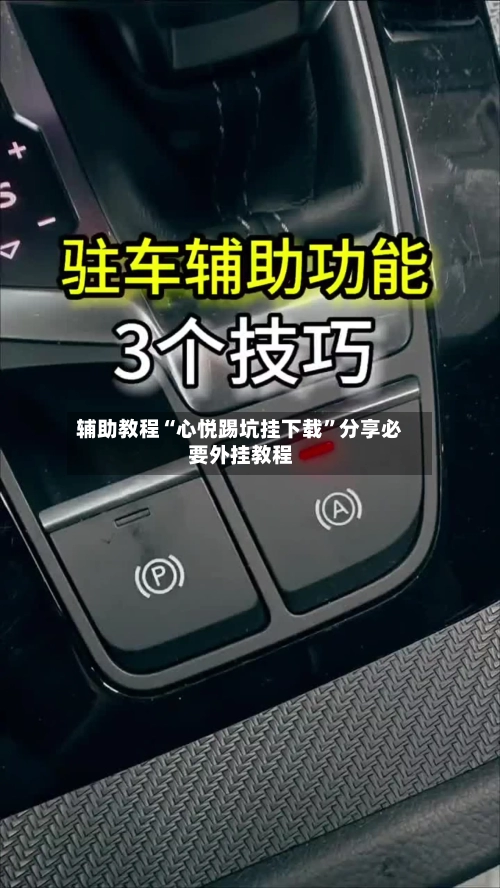 辅助教程“心悦踢坑挂下载”分享必要外挂教程-第1张图片