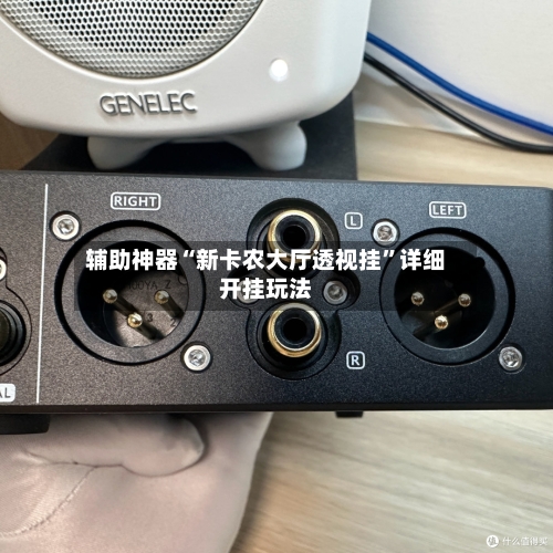 辅助神器“新卡农大厅透视挂”详细开挂玩法-第2张图片