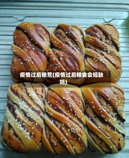 疫情过后粮荒(疫情过后粮食会短缺吗)-第1张图片