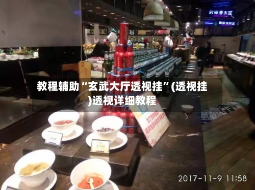 教程辅助“玄武大厅透视挂”(透视挂)透视详细教程-第1张图片