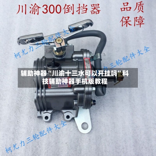 辅助神器“川渝十三水可以开挂吗	”科技辅助神器手机版教程-第1张图片