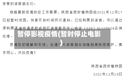 暂停影视疫情(暂时停止电影)-第1张图片