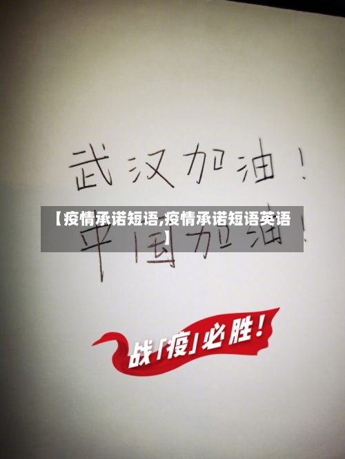 【疫情承诺短语,疫情承诺短语英语】-第2张图片