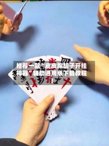 推荐一款“皮皮跑胡子开挂神器”辅助通用版下载教程！-第2张图片