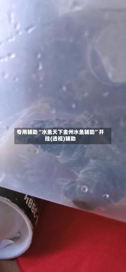 专用辅助“水鱼天下金州水鱼辅助	”开挂(透视)辅助-第1张图片