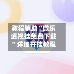 教程辅助“微乐透视挂免费下载”详细开挂教程-第3张图片
