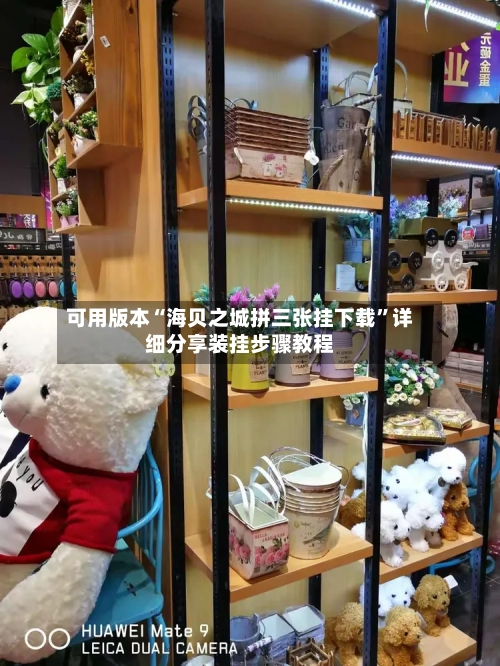 可用版本“海贝之城拼三张挂下载”详细分享装挂步骤教程-第3张图片