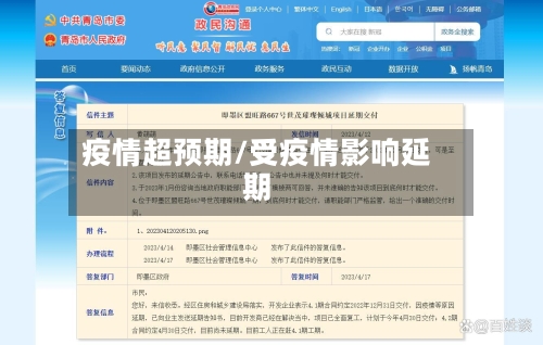 疫情超预期/受疫情影响延期-第1张图片