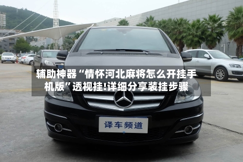 辅助神器“情怀河北麻将怎么开挂手机版	”透视挂!详细分享装挂步骤-第2张图片