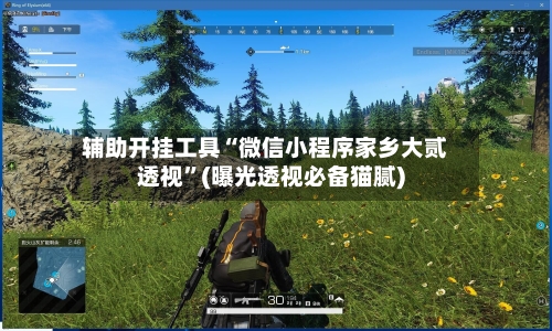 辅助开挂工具“微信小程序家乡大贰透视”(曝光透视必备猫腻)-第1张图片