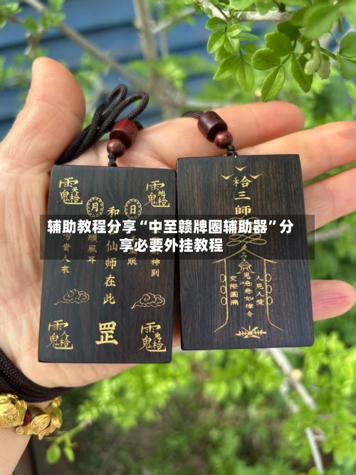 辅助教程分享“中至赣牌圈辅助器”分享必要外挂教程-第1张图片