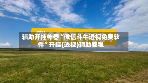 辅助开挂神器“微信斗牛透视免费软件”开挂(透视)辅助教程-第2张图片