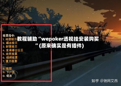 教程辅助“wepoker透视挂安装购买”(原来确实是有插件)-第1张图片