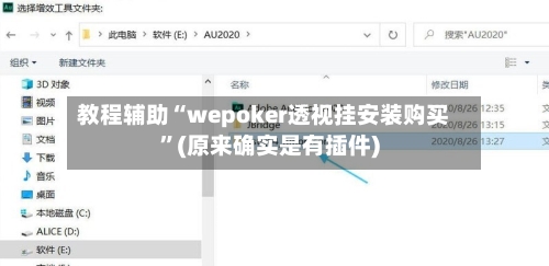 教程辅助“wepoker透视挂安装购买”(原来确实是有插件)-第3张图片