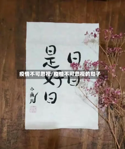 疫情不可忽视/疫情不可忽视的句子-第2张图片