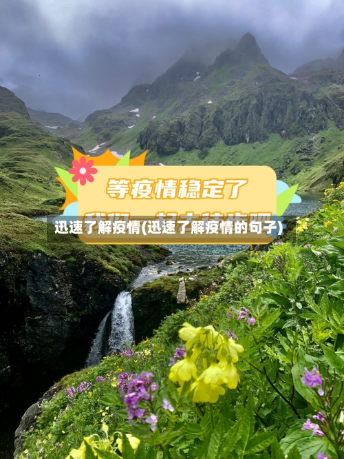 迅速了解疫情(迅速了解疫情的句子)-第2张图片