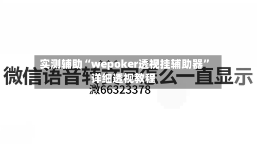 实测辅助“wepoker透视挂辅助器	”详细透视教程-第3张图片