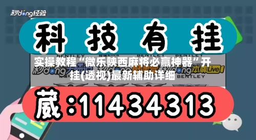 实操教程“微乐陕西麻将必赢神器”开挂(透视)最新辅助详细-第2张图片