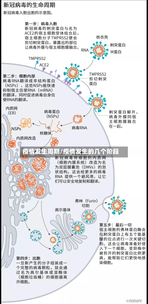 疫情发生周期/疫情发生的几个阶段-第1张图片