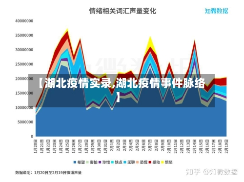 【湖北疫情实录,湖北疫情事件脉络】-第1张图片