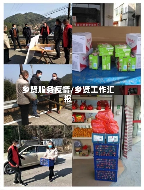 乡贤服务疫情/乡贤工作汇报-第1张图片