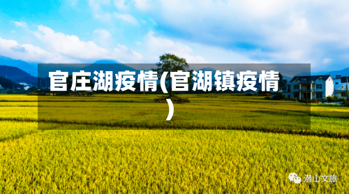 官庄湖疫情(官湖镇疫情)-第1张图片