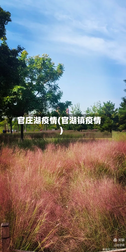 官庄湖疫情(官湖镇疫情)-第2张图片