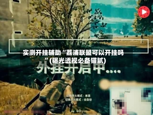 实测开挂辅助“荔浦联盟可以开挂吗”(曝光透视必备猫腻)-第3张图片