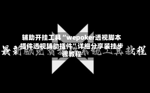辅助开挂工具“wepoker透视脚本插件透视辅助插件	”详细分享装挂步骤教程-第1张图片