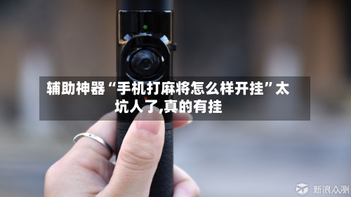 辅助神器“手机打麻将怎么样开挂”太坑人了,真的有挂-第2张图片