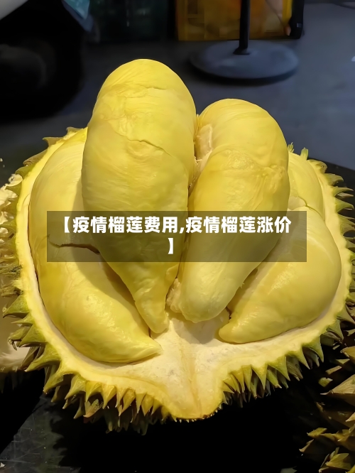 【疫情榴莲费用,疫情榴莲涨价】-第2张图片