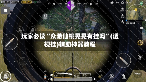 玩家必读“众游仙桃晃晃有挂吗”(透视挂)辅助神器教程-第3张图片