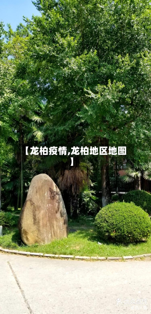 【龙柏疫情,龙柏地区地图】-第1张图片