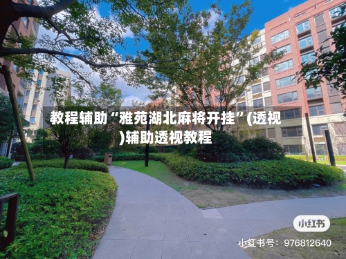 教程辅助“雅苑湖北麻将开挂”(透视)辅助透视教程-第2张图片