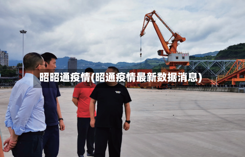 昭昭通疫情(昭通疫情最新数据消息)-第2张图片