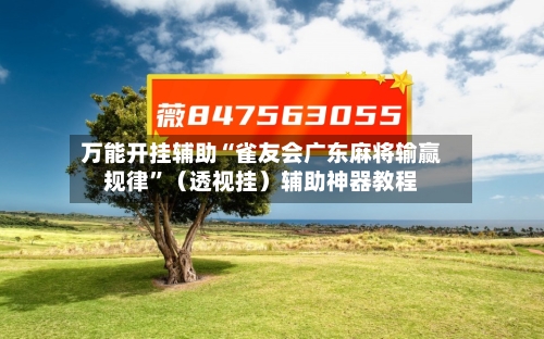 万能开挂辅助“雀友会广东麻将输赢规律”（透视挂）辅助神器教程-第2张图片