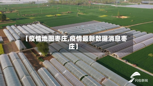 【疫情地图枣庄,疫情最新数据消息枣庄】-第3张图片