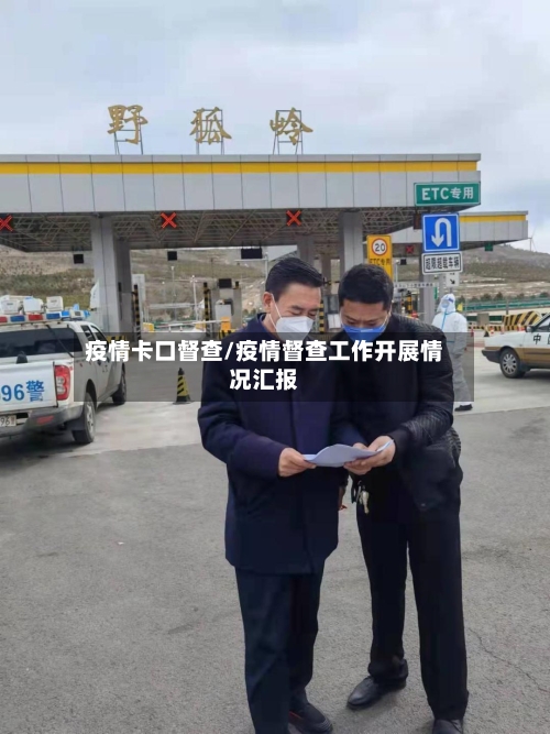 疫情卡口督查/疫情督查工作开展情况汇报-第2张图片
