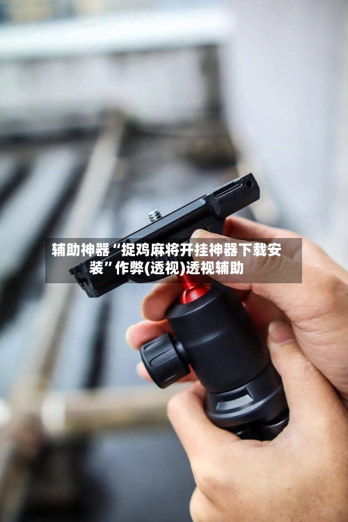 辅助神器“捉鸡麻将开挂神器下载安装”作弊(透视)透视辅助-第1张图片