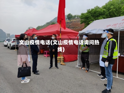 文山疫情电话(文山疫情电话询问热线)-第2张图片