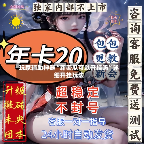 玩家辅助神器“新密瓜可以开挂吗	”详细开挂玩法-第1张图片